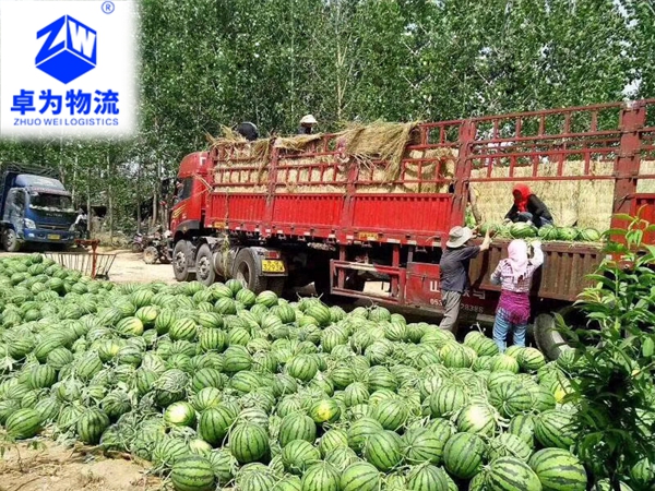 水果蔬菜運輸案例